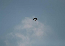 20160122085117-3