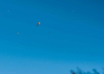 20160123091856-2_24380291593_o